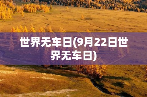 世界无车日(9月22日世界无车日)