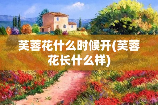 芙蓉花什么时候开(芙蓉花长什么样)