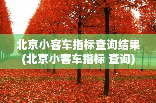 北京小客车指标查询结果(北京小客车指标 查询)