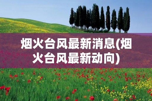 烟火台风最新消息(烟火台风最新动向)