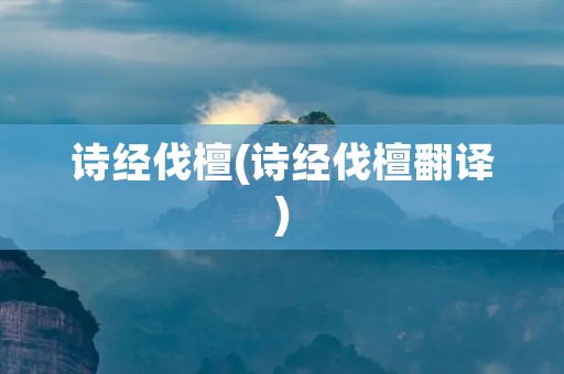 诗经伐檀(诗经伐檀翻译)