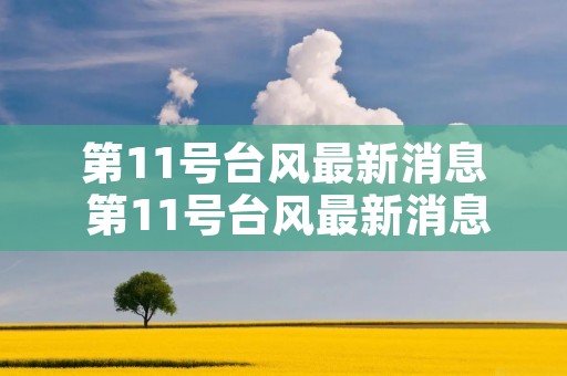 第11号台风最新消息 第11号台风最新消息2020