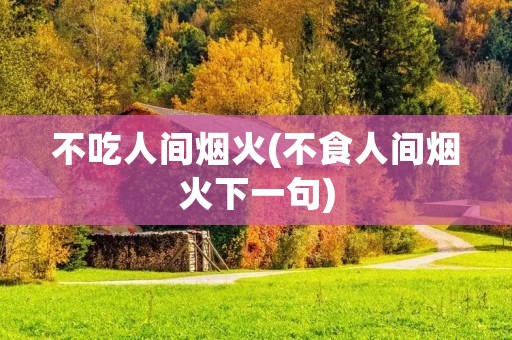 不吃人间烟火(不食人间烟火下一句)