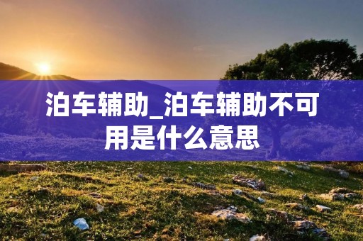 泊车辅助_泊车辅助不可用是什么意思