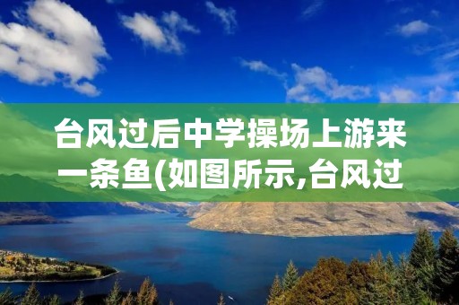 台风过后中学操场上游来一条鱼(如图所示,台风过后某小学)