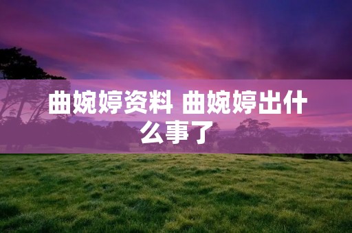 曲婉婷资料 曲婉婷出什么事了