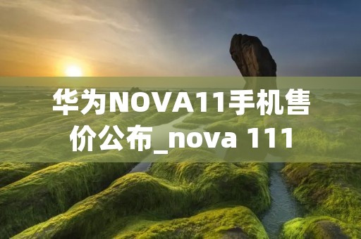 华为NOVA11手机售价公布_nova 111