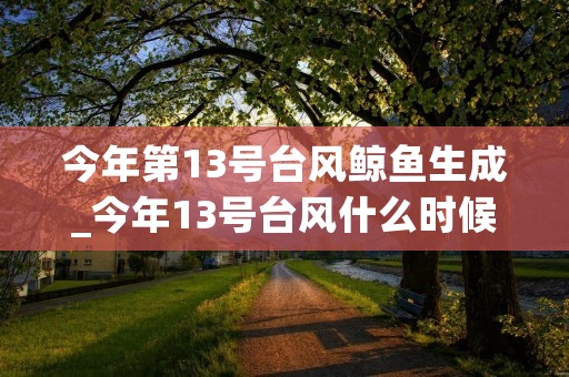 今年第13号台风鲸鱼生成_今年13号台风什么时候生成