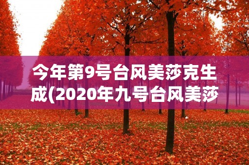 今年第9号台风美莎克生成(2020年九号台风美莎克) 今年第9号台风美莎克生成(2020年九号台风美莎克)