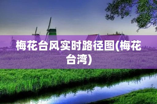 梅花台风实时路径图(梅花台湾) 梅花台风实时路径图(梅花台湾)