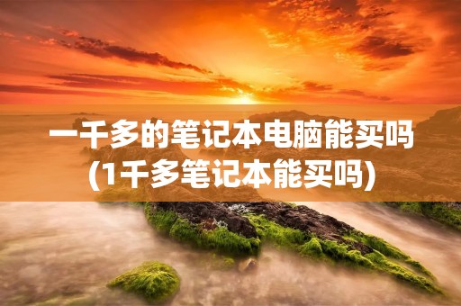 一千多的笔记本电脑能买吗(1千多笔记本能买吗)