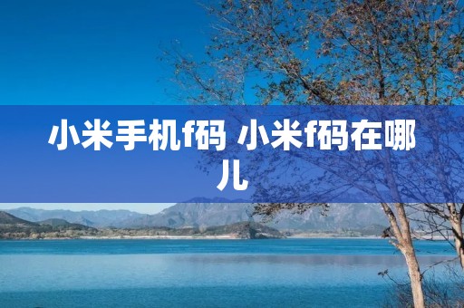 小米手机f码 小米f码在哪儿 小米手机f码 小米f码在哪儿
