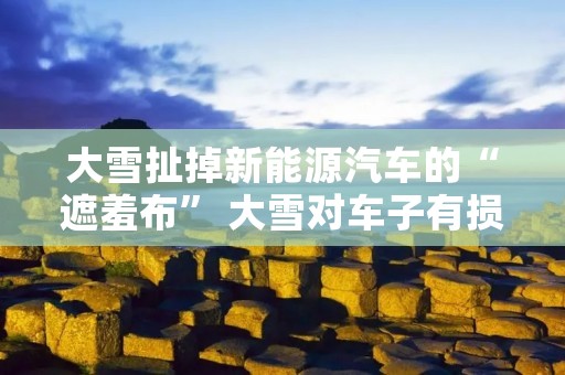 大雪扯掉新能源汽车的“遮羞布” 大雪对车子有损害吗