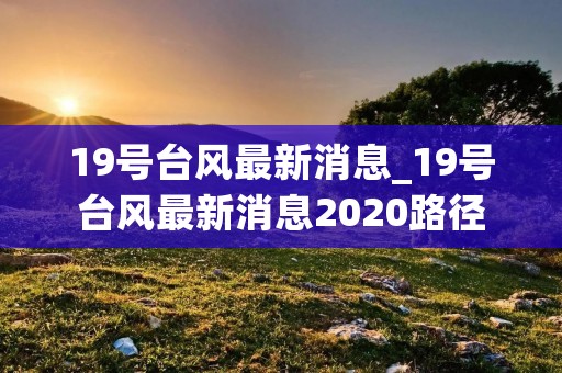 19号台风最新消息_19号台风最新消息2020路径