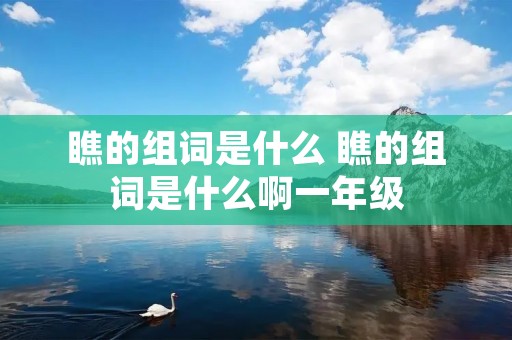 瞧的组词是什么 瞧的组词是什么啊一年级