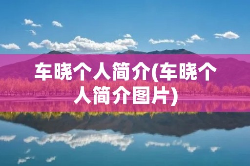 车晓个人简介(车晓个人简介图片)