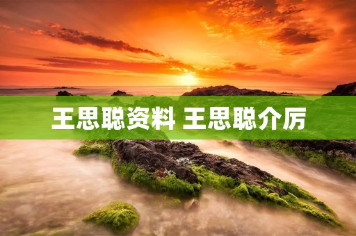 王思聪资料 王思聪介厉