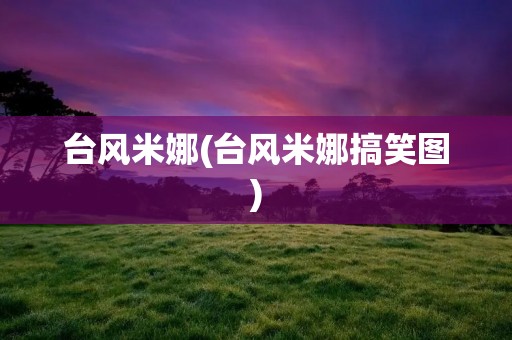 台风米娜(台风米娜搞笑图)