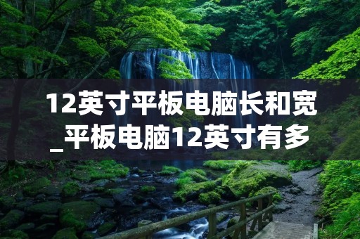 12英寸平板电脑长和宽_平板电脑12英寸有多大