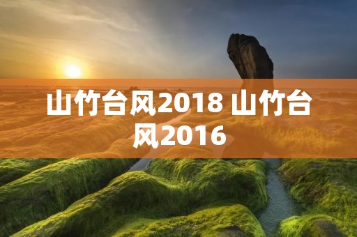 山竹台风2018 山竹台风2016