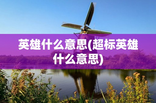 英雄什么意思(超标英雄什么意思) 英雄什么意思(超标英雄什么意思)