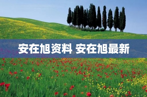 安在旭资料 安在旭最新