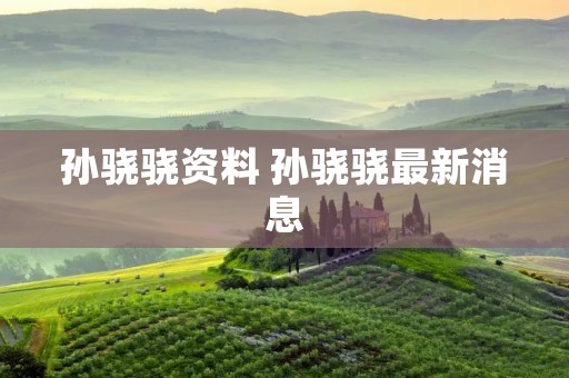 孙骁骁资料 孙骁骁最新消息