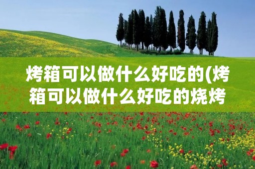 烤箱可以做什么好吃的(烤箱可以做什么好吃的烧烤)