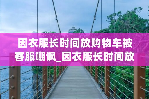 因衣服长时间放购物车被**嘲讽_因衣服长时间放购物车被**嘲讽怎么处理