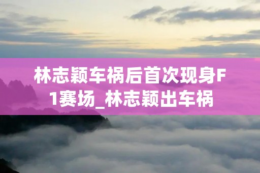 林志颖车祸后首次现身F1赛场_林志颖出车祸 林志颖车祸后首次现身F1赛场_林志颖出车祸