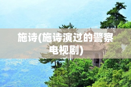 施诗(施诗演过的警察电视剧)