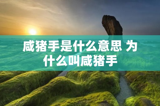 咸猪手是什么意思 为什么叫咸猪手 咸猪手是什么意思 为什么叫咸猪手