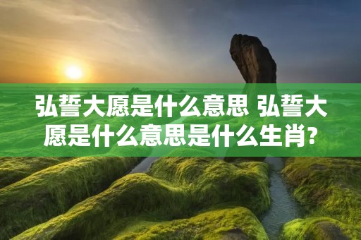 弘誓大愿是什么意思 弘誓大愿是什么意思是什么生肖?