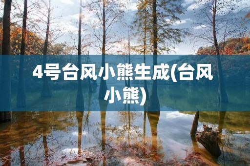 4号台风小熊生成(台风 小熊)