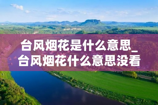 台风烟花是什么意思_台风烟花什么意思没看懂 台风烟花是什么意思_台风烟花什么意思没看懂