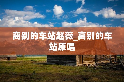 离别的车站赵薇_离别的车站原唱