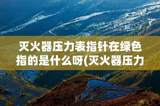 灭火器压力表指针在绿色指的是什么呀(灭火器压力表指针在绿色和黄色中间) 灭火器压力表指针在绿色指的是什么呀(灭火器压力表指针在绿色和黄色中间)
