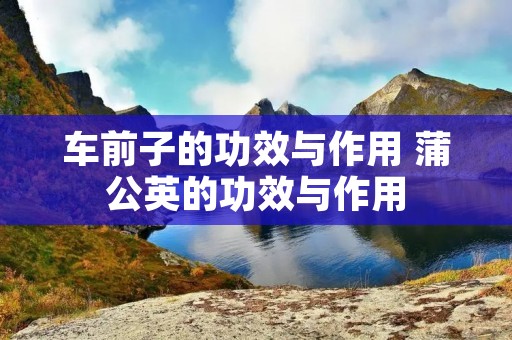 车前子的功效与作用 蒲公英的功效与作用 车前子的功效与作用 蒲公英的功效与作用