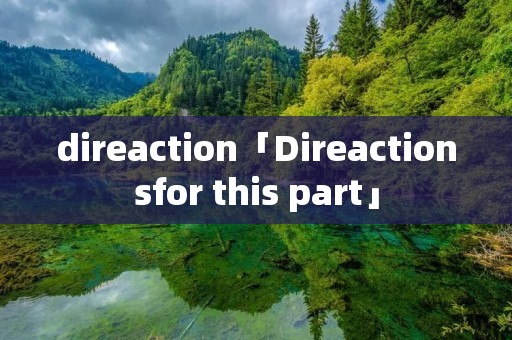 direaction「Direactionsfor this part」
