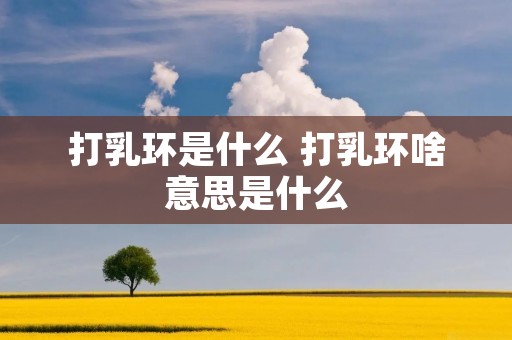 打乳环是什么 打乳环啥意思是什么 打乳环是什么 打乳环啥意思是什么