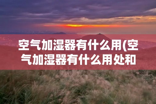 空气加湿器有什么用(空气加湿器有什么用处和坏处) 空气加湿器有什么用(空气加湿器有什么用处和坏处)