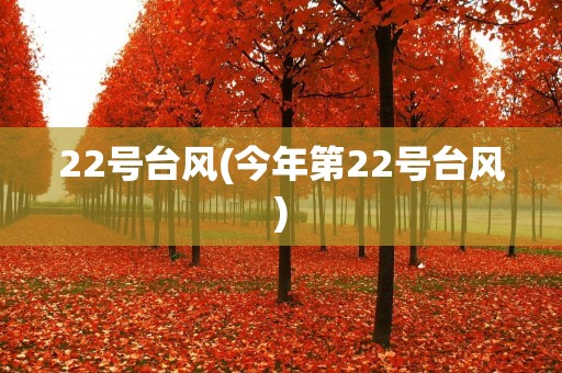 22号台风(今年第22号台风) 22号台风(今年第22号台风)
