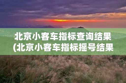 北京小客车指标查询结果(北京小客车指标摇号结果查询)