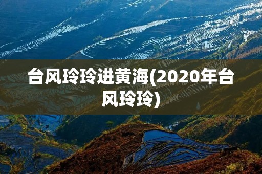 台风玲玲进黄海(2020年台风玲玲)