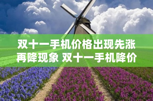 双十一手机价格出现先涨再降现象 双十一手机降价后会涨回去吗