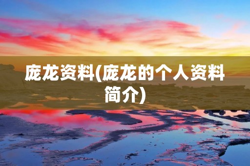 庞龙资料(庞龙的个人资料简介)