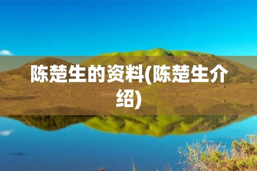 陈楚生的资料(陈楚生介绍)
