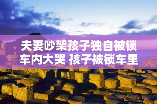 夫妻吵架孩子独自被锁车内大哭 孩子被锁车里不幸身亡