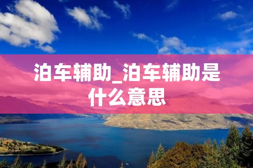 泊车辅助_泊车辅助是什么意思