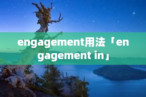 engagement用法「engagement in」